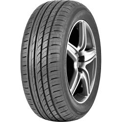 DOUBLE COIN DC99 195/55 R16