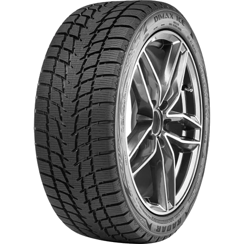 RADAR Dimax Ice 235/55 R17
