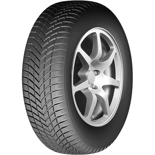 INFINITY Ecozen 195/65 R15