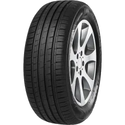 MINERVA F209 195/65 R15