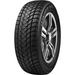 DELINTE WD1 195/55 R15