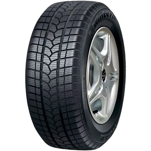 TIGAR Winter 1 165/70 R13