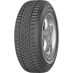 DIPLOMAT Winter HP 195/65 R15