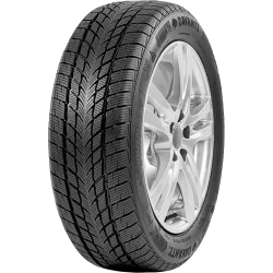 DAVANTI Wintoura 195/60 R15