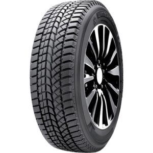 Anvelopă Iarna DOUBLESTAR DW02 205/55 R16 91 T - D B 71 B