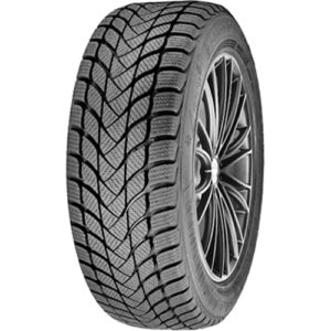 Anvelopă Iarna DELINTE WD6 225/55 R17 97 H - C B 72 B