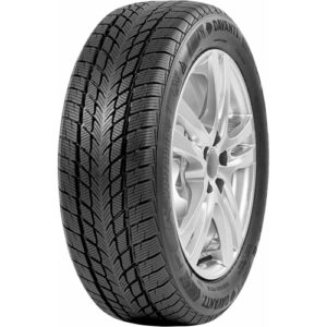 Anvelopă Iarna DAVANTI Wintoura 205/55 R16 94 H XL D C 72 B