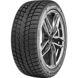 Anvelopă Iarna RADAR Dimax Ice 215/50 R17 95 T XL C E 69 A